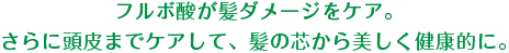 フルボ酸が髪ダメージをケア。さらに頭皮までケアして、髪の芯から美しく健康的に。